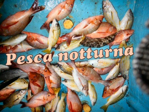 pesca notturna